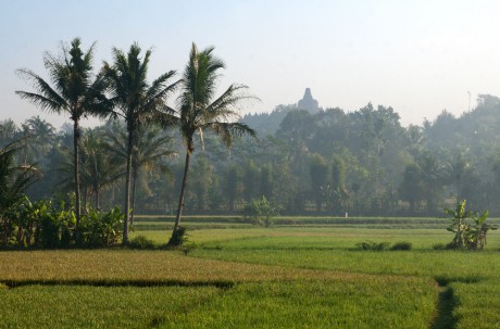 Yogya Borobudur - 043