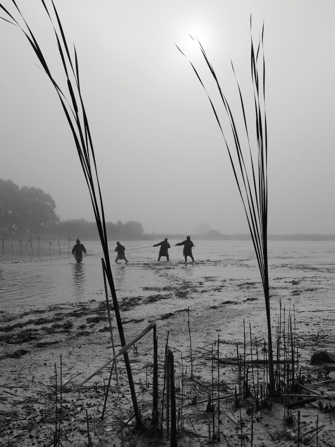 Under the misty autumn sun