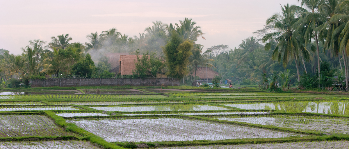 Bali-Ubud---381