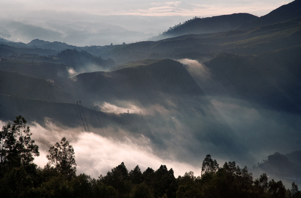Dieng - 288