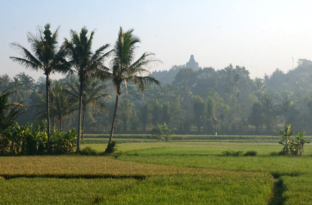 Yogya Borobudur - 043